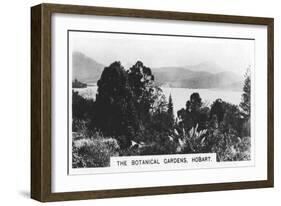 The Botanical Gardens, Hobart, Tasmania, 1928-null-Framed Giclee Print