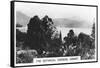 The Botanical Gardens, Hobart, Tasmania, 1928-null-Framed Stretched Canvas