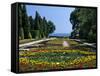 The Botanical Gardens, the Palace of Queen Marie, Balchik, Black Sea Coast, Bulgaria, Europe-Stuart Black-Framed Stretched Canvas