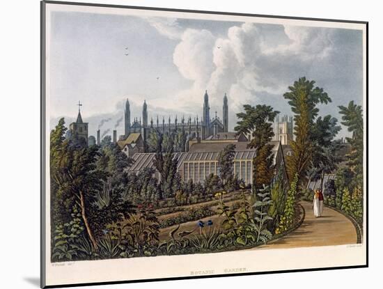 The Botanical Gardens-William Westall-Mounted Giclee Print