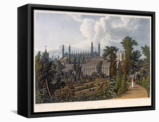 The Botanical Gardens-William Westall-Framed Stretched Canvas
