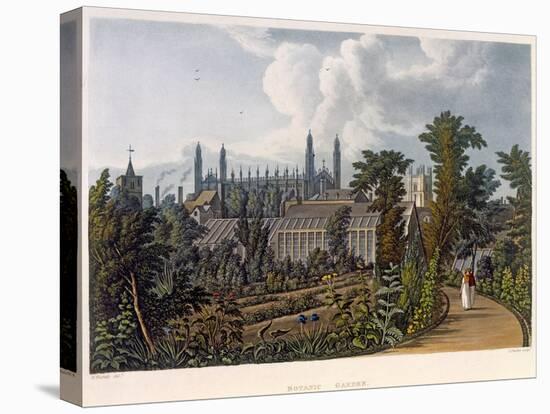 The Botanical Gardens-William Westall-Stretched Canvas
