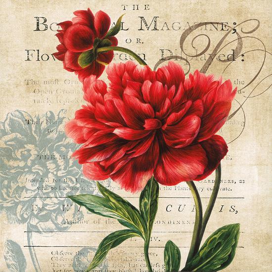 'The Botanist Magazine' Prints - Carol Robinson | AllPosters.com