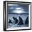 The Bottle-Nosed Dolphins In Sunset Light-sad444-Framed Photographic Print