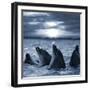 The Bottle-Nosed Dolphins In Sunset Light-sad444-Framed Photographic Print