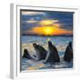 The Bottle-Nosed Dolphins in Sunset Light-sad444-Framed Photographic Print