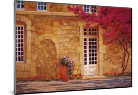 The Bougainvillea Covered House-Liliane Fournier-Mounted Art Print