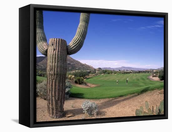 The Boulders Golf Course, Phoenix, AZ-Bill Bachmann-Framed Stretched Canvas