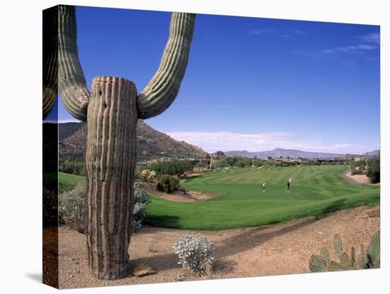 The Boulders Golf Course, Phoenix, AZ-Bill Bachmann-Stretched Canvas