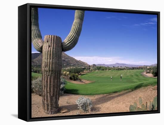 The Boulders Golf Course, Phoenix, AZ-Bill Bachmann-Framed Stretched Canvas