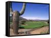 The Boulders Golf Course, Phoenix, AZ-Bill Bachmann-Framed Stretched Canvas