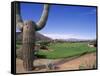 The Boulders Golf Course, Phoenix, AZ-Bill Bachmann-Framed Stretched Canvas