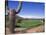 The Boulders Golf Course, Phoenix, AZ-Bill Bachmann-Stretched Canvas