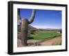 The Boulders Golf Course, Phoenix, AZ-Bill Bachmann-Framed Premium Photographic Print