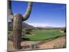 The Boulders Golf Course, Phoenix, AZ-Bill Bachmann-Mounted Premium Photographic Print