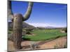 The Boulders Golf Course, Phoenix, AZ-Bill Bachmann-Mounted Photographic Print