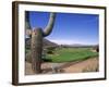 The Boulders Golf Course, Phoenix, AZ-Bill Bachmann-Framed Photographic Print