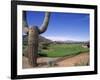 The Boulders Golf Course, Phoenix, AZ-Bill Bachmann-Framed Photographic Print