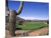 The Boulders Golf Course, Phoenix, AZ-Bill Bachmann-Mounted Photographic Print