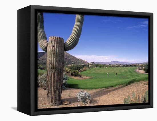 The Boulders Golf Course, Phoenix, AZ-Bill Bachmann-Framed Stretched Canvas