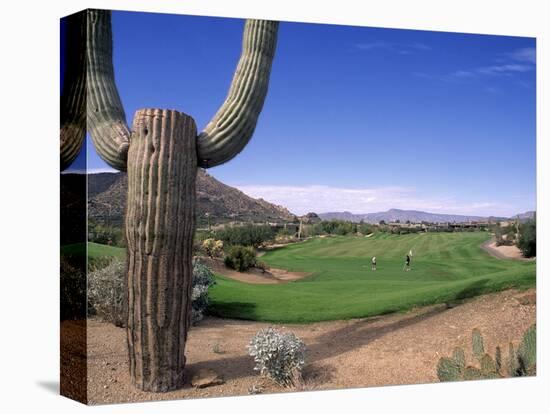 The Boulders Golf Course, Phoenix, AZ-Bill Bachmann-Stretched Canvas