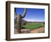 The Boulders Golf Course, Phoenix, AZ-Bill Bachmann-Framed Photographic Print