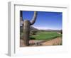 The Boulders Golf Course, Phoenix, AZ-Bill Bachmann-Framed Photographic Print