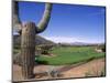 The Boulders Golf Course, Phoenix, AZ-Bill Bachmann-Mounted Photographic Print