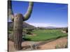 The Boulders Golf Course, Phoenix, AZ-Bill Bachmann-Stretched Canvas