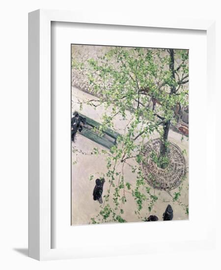 The Boulevard Viewed from Above, 1880-Gustave Caillebotte-Framed Giclee Print