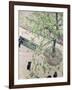 The Boulevard Viewed from Above, 1880-Gustave Caillebotte-Framed Giclee Print