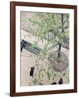 The Boulevard Viewed from Above, 1880-Gustave Caillebotte-Framed Giclee Print