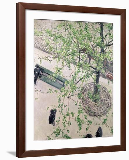 The Boulevard Viewed from Above, 1880-Gustave Caillebotte-Framed Giclee Print