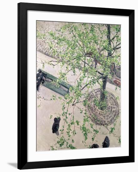 The Boulevard Viewed from Above, 1880-Gustave Caillebotte-Framed Giclee Print