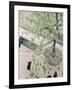 The Boulevard Viewed from Above, 1880-Gustave Caillebotte-Framed Giclee Print