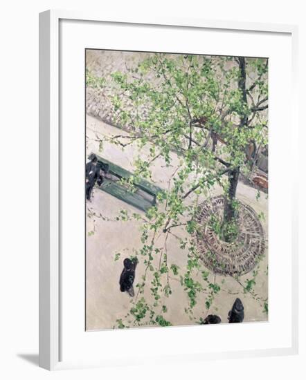 The Boulevard Viewed from Above, 1880-Gustave Caillebotte-Framed Giclee Print