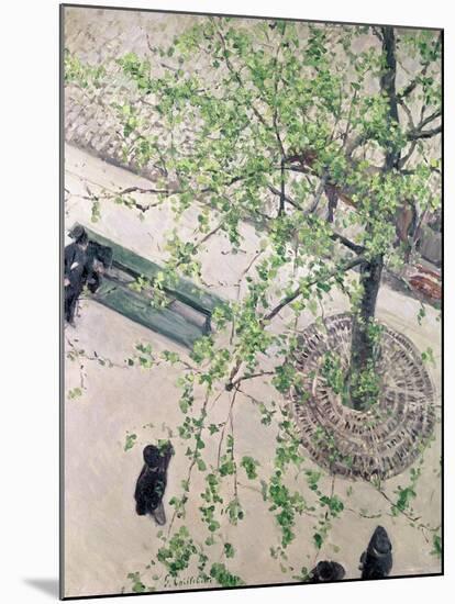 The Boulevard Viewed from Above, 1880-Gustave Caillebotte-Mounted Giclee Print