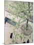 The Boulevard Viewed from Above, 1880-Gustave Caillebotte-Mounted Giclee Print