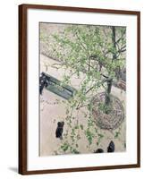 The Boulevard Viewed from Above, 1880-Gustave Caillebotte-Framed Giclee Print