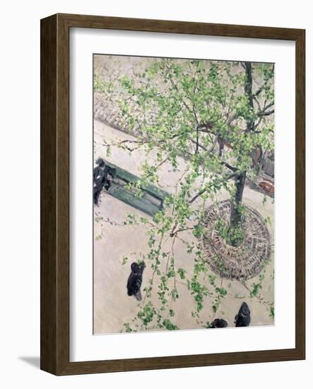 The Boulevard Viewed from Above, 1880-Gustave Caillebotte-Framed Giclee Print