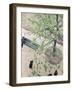 The Boulevard Viewed from Above, 1880-Gustave Caillebotte-Framed Giclee Print