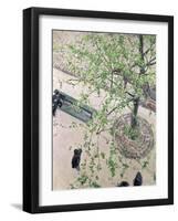 The Boulevard Viewed from Above, 1880-Gustave Caillebotte-Framed Giclee Print