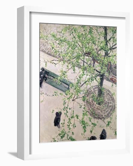 The Boulevard Viewed from Above, 1880-Gustave Caillebotte-Framed Giclee Print