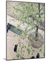 The Boulevard Viewed from Above, 1880-Gustave Caillebotte-Mounted Giclee Print