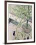 The Boulevard Viewed from Above, 1880-Gustave Caillebotte-Framed Giclee Print