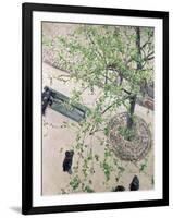 The Boulevard Viewed from Above, 1880-Gustave Caillebotte-Framed Giclee Print