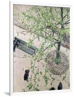 The Boulevard Viewed from Above, 1880-Gustave Caillebotte-Framed Giclee Print