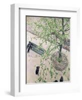 The Boulevard Viewed from Above, 1880-Gustave Caillebotte-Framed Giclee Print