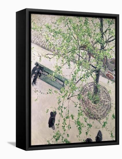 The Boulevard Viewed from Above, 1880-Gustave Caillebotte-Framed Stretched Canvas