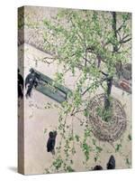 The Boulevard Viewed from Above, 1880-Gustave Caillebotte-Stretched Canvas